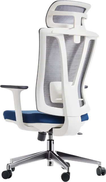 Daca White